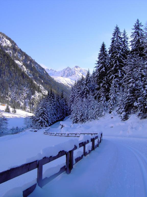Hotel Wiese Sankt Leonhard im Pitztal Exterior photo